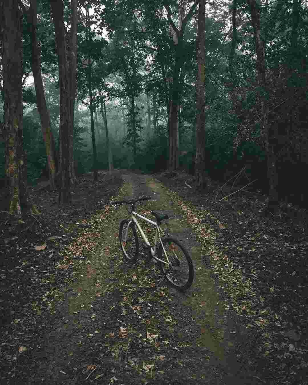 Cycling